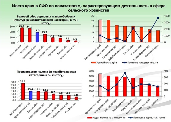 Красноярский край должен полностью обеспечить себя продуктами через 15 лет  1