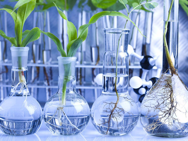 РЦИ «Биотехнологии и глубокая переработка растительного сырья» приглашает к сотрудничеству