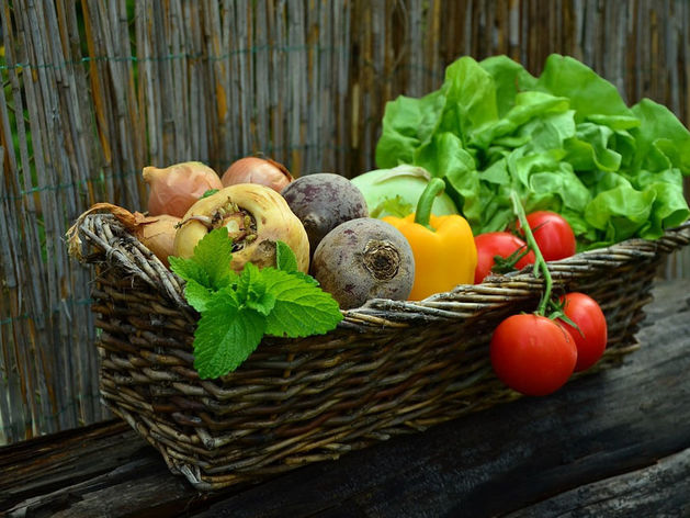 «Енисейский стандарт» провел проверку свежих овощей