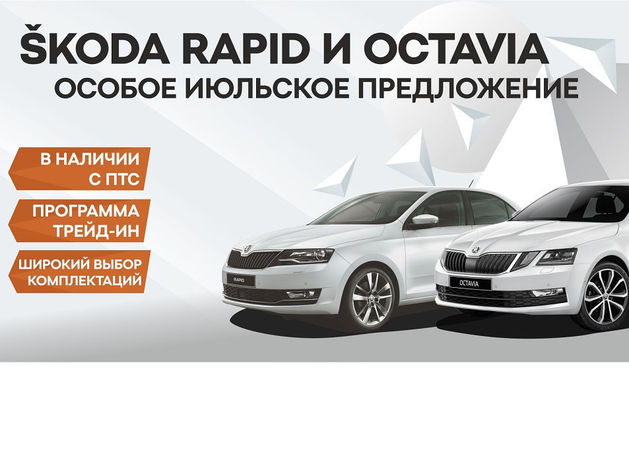 Особое предложение при покупке SKODA RAPID и OCTAVIA в Медведь-Восток.