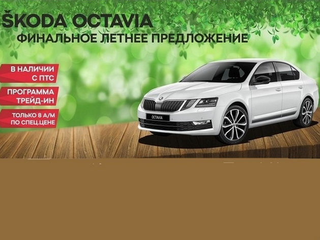 Финальное летнее предложение на ŠKODA OCTAVIA в Медведь-Восток