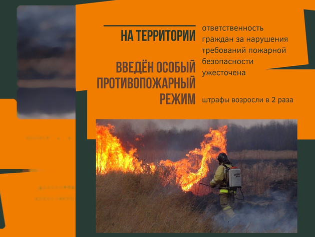 В 44 районах Красноярского края введен особый противопожарный режим

