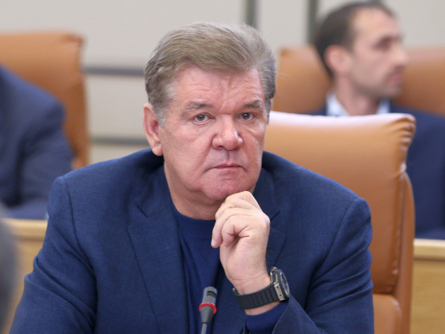 В Красноярске задержали гендиректора «Сибиряка» Владимира Егорова
