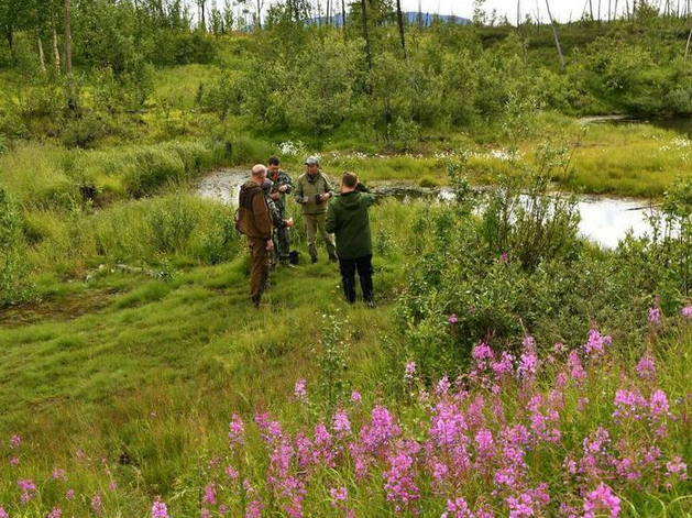 Сибирские металлурги и ученые проверят воздействие заводов на биоразнообразие
