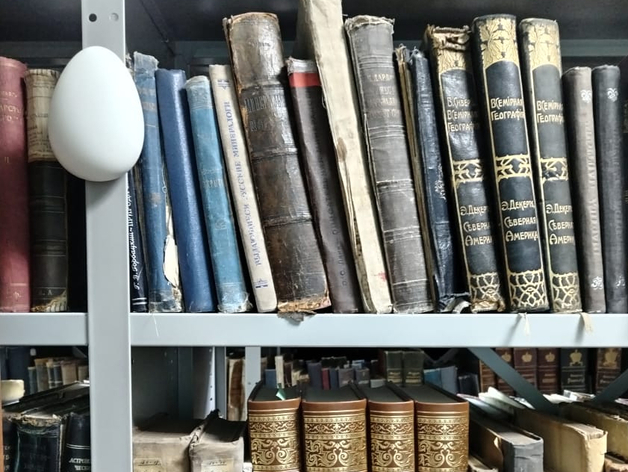 Цифровые технологии помогут сохранить книжные раритеты в библиотеках Норильска

