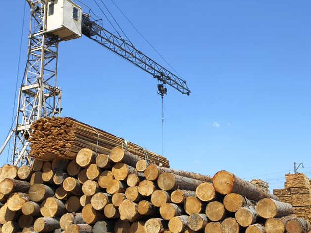 Экспорт древесины из Красноярского края потерял в объемах 17%
