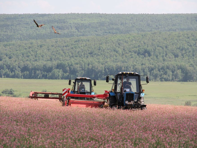 Сельхозкооперативы Красноярского края получили на технику и оборудование более 126 млн