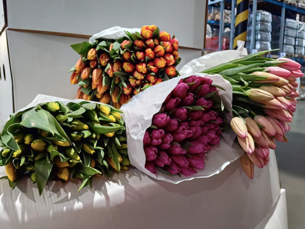 Более 1 млн цветов привезут в Красноярск к 8 марта в 2024