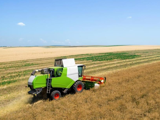 Аграрии Красноярского края в 2024 увеличат посевную площадь