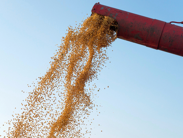 Красноярский край более чем вдвое нарастил экспорт зерна — до 108 тыс. тонн
