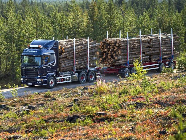 Китай скупил больше половины всей вывозимой из Красноярского края древесины