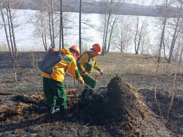 Сезон лесных пожаров 2024 начался в Красноярском крае
