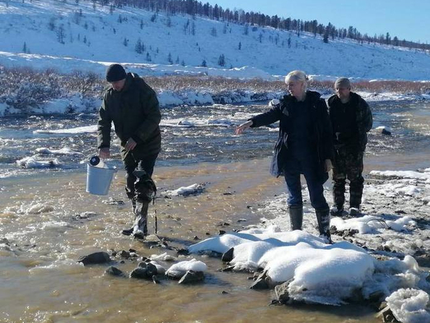 Скандальные старатели из «Сисима» заплатили по экологическому счету