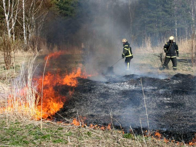 В лес не ходить, шашлыки не жарить: Красноярский край перевели на противопожарный режим