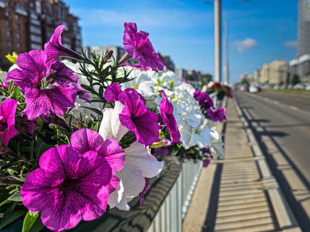 В Красноярске на выходных будет 30-градусная жара