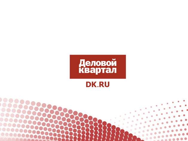 Депутаты Красноярского горсовета поделились информацией о доходах