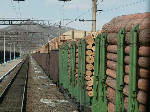 Двое красноярцев пойдут под суд за контрабанду леса на 150 млн рублей