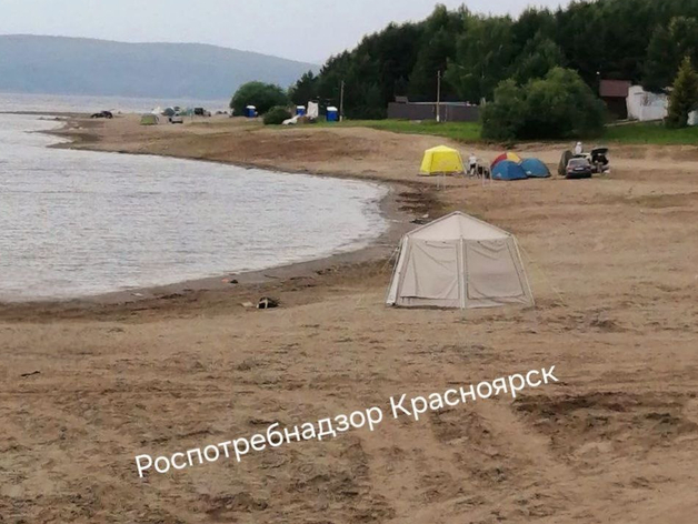 Третий официальный пляж заработал в Красноярском крае Третий официальный пляж заработал в Красноярском крае
