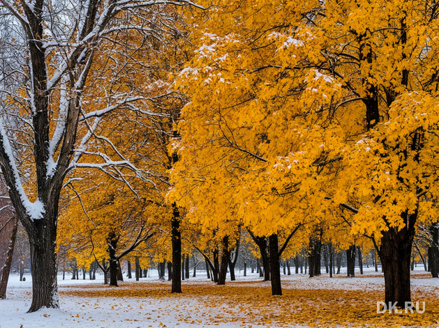 Зима близко? В Красноярск приходят заморозки и снег Зима близко? В Красноярск приходят заморозки и снег