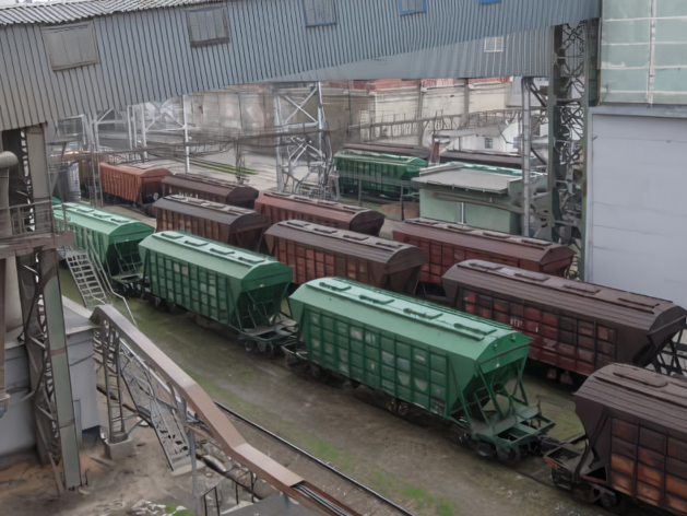 Экспорт зерновых из Красноярского края отстал от прошлого года более чем на треть Экспорт зерновых из Красноярского края отстал от прошлого года более чем на треть