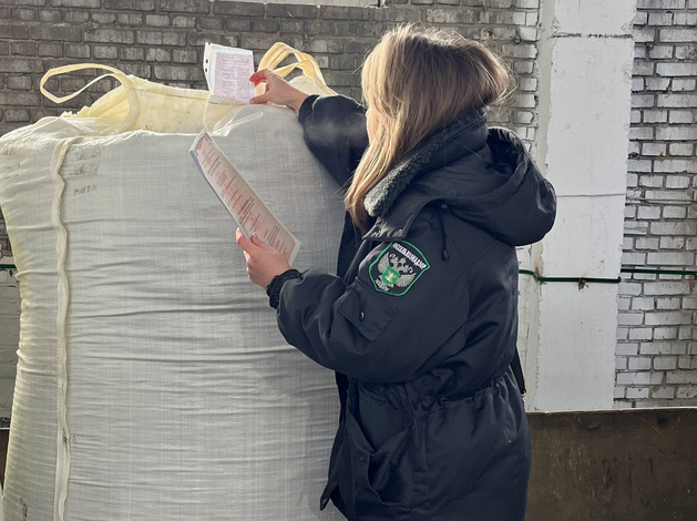 Из Красноярского края в Китай отправили 566 партий рапсового жмыха Из Красноярского края в Китай отправили 566 партий рапсового жмыха