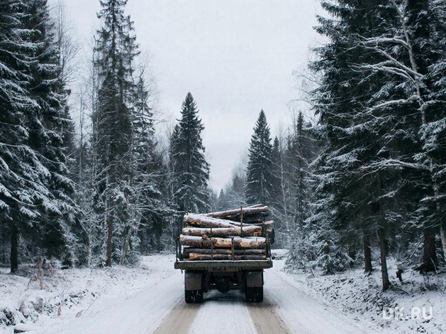 Красноярских предпринимателей поймали на контрабанде леса: ущерб — 150 млн рублей Красноярских предпринимателей поймали на контрабанде леса: ущерб — 150 млн рублей