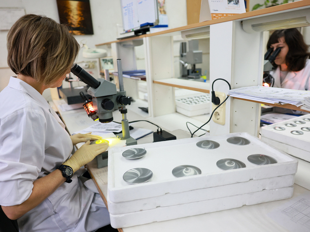 Михаил Мишустин отметил промышленное предприятие из Красноярского края Михаил Мишустин отметил промышленное предприятие из Красноярского края